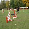 agility 2011-10-30